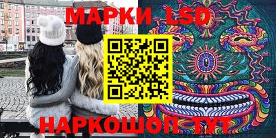 индика Нальчик