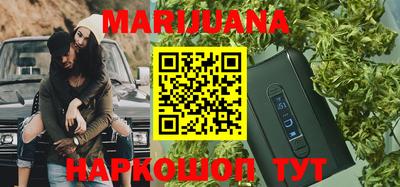 индика Нальчик