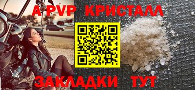 индика Нальчик