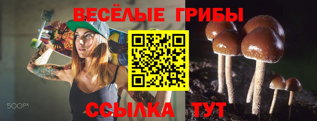 Псилоцибиновые грибы Psilocybine cubensis  Вход с VPN  как найти   Энгельс 